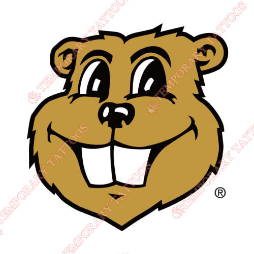 Minnesota Golden Gophers Customize Temporary Tattoos Stickers NO.5102
